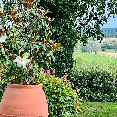 Lovely In Lussan With Outdoor Swimming Pool Holiday home *